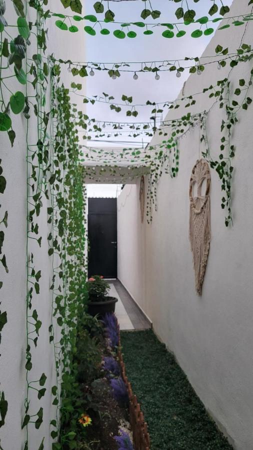 Casa Neptuno Privatunterkunft Tulum